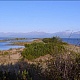 71. Остров Ярки